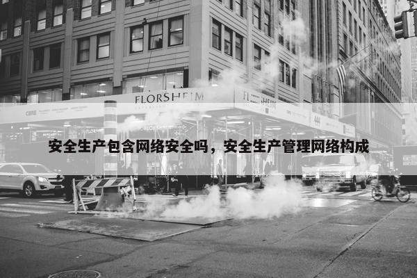 安全生产包含网络安全吗，安全生产管理网络构成