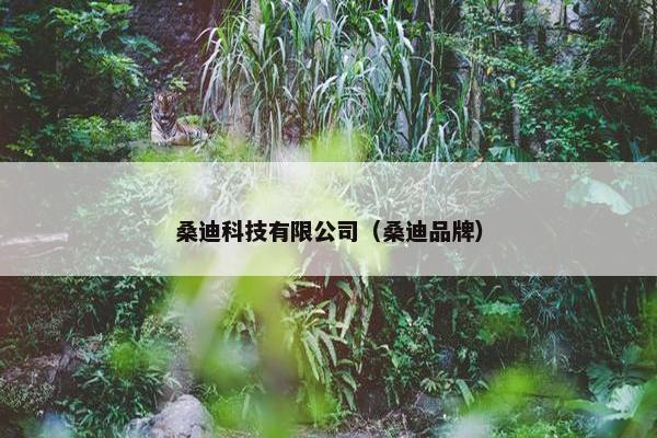 桑迪科技有限公司（桑迪品牌）