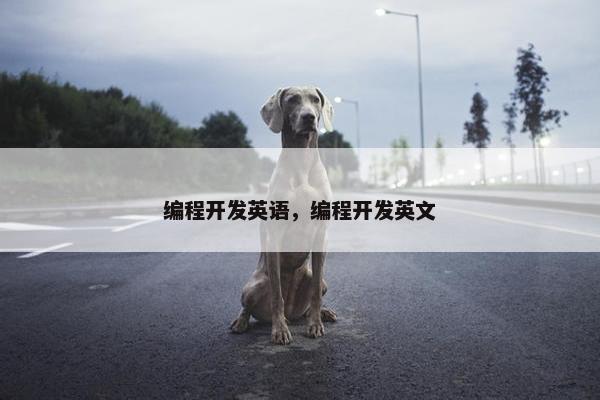 编程开发英语，编程开发英文