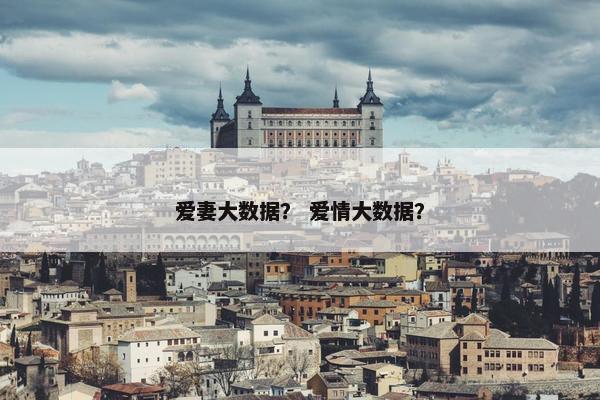 爱妻大数据？ 爱情大数据？