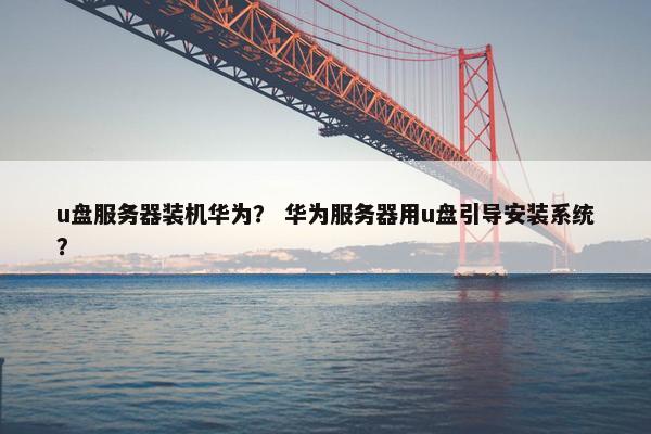 u盘服务器装机华为？ 华为服务器用u盘引导安装系统？