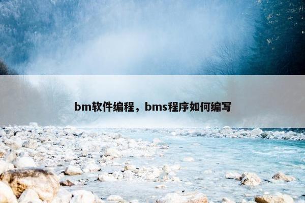 bm软件编程，bms程序如何编写