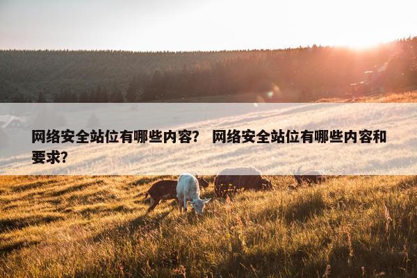 网络安全站位有哪些内容？ 网络安全站位有哪些内容和要求？