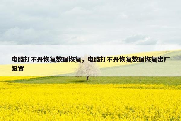 电脑打不开恢复数据恢复，电脑打不开恢复数据恢复出厂设置