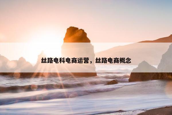 丝路电科电商运营，丝路电商概念