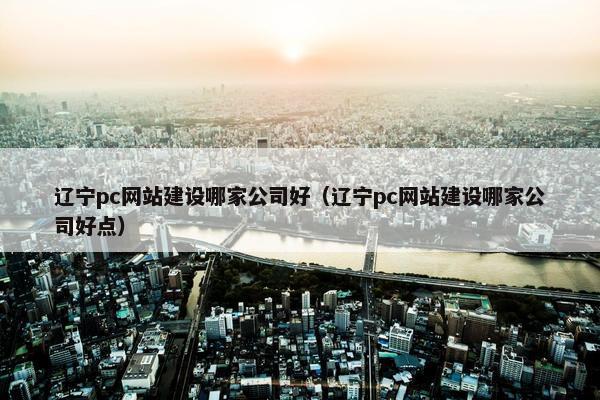辽宁pc网站建设哪家公司好（辽宁pc网站建设哪家公司好点）
