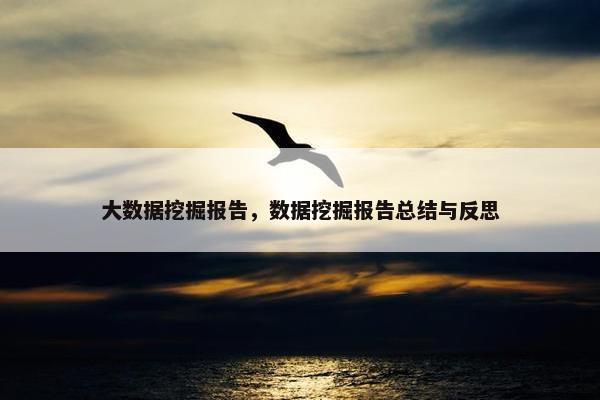 大数据挖掘报告，数据挖掘报告总结与反思