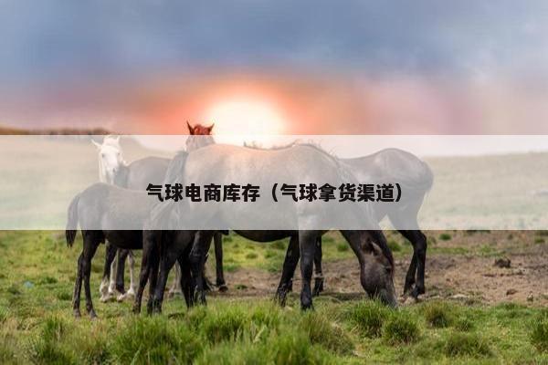 气球电商库存（气球拿货渠道）