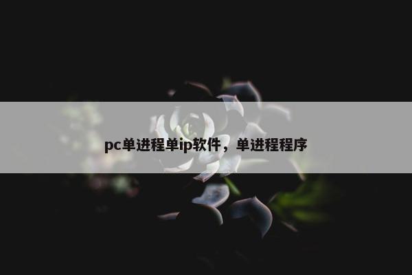 pc单进程单ip软件，单进程程序