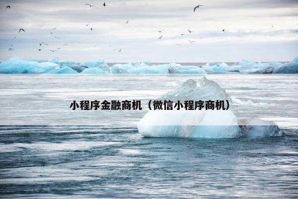 小程序金融商机（微信小程序商机）