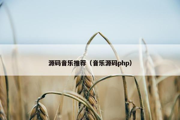 源码音乐推荐（音乐源码php）