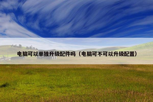 电脑可以单独升级配件吗（电脑可不可以升级配置）