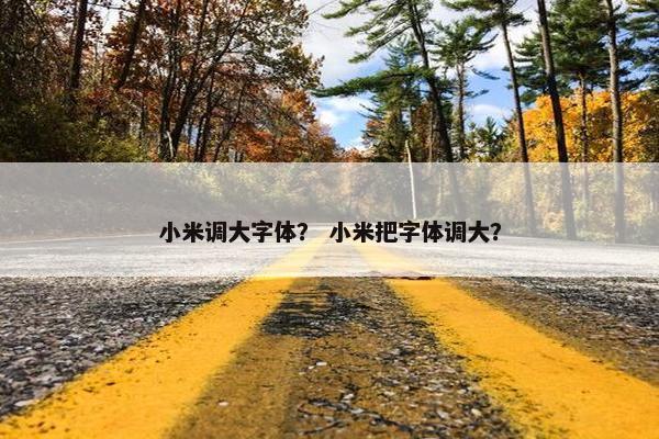 小米调大字体？ 小米把字体调大？