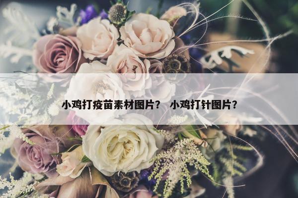 小鸡打疫苗素材图片？ 小鸡打针图片？