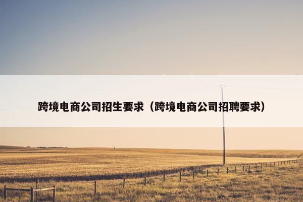 跨境电商公司招生要求（跨境电商公司招聘要求）