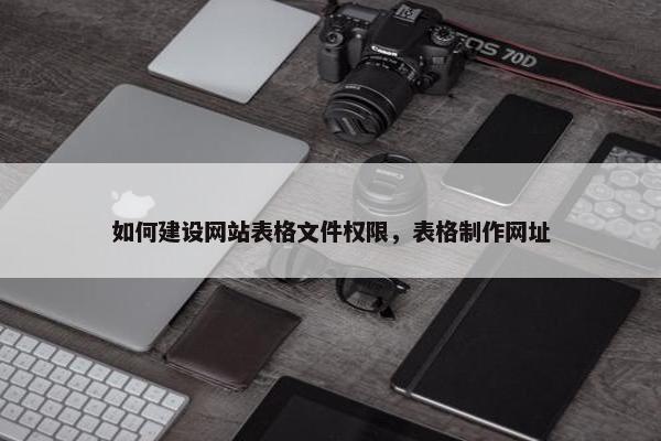 如何建设网站表格文件权限，表格制作网址