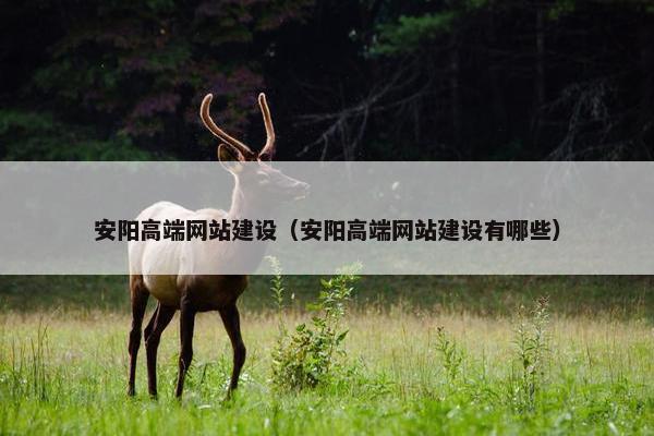 安阳高端网站建设（安阳高端网站建设有哪些）