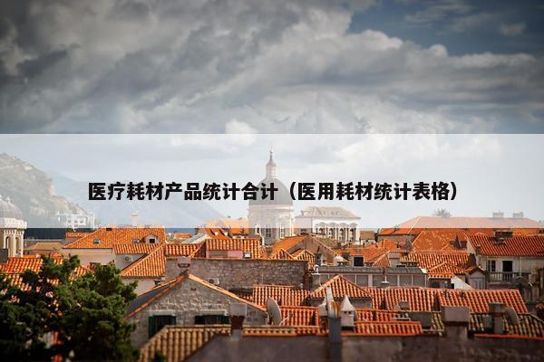 医疗耗材产品统计合计（医用耗材统计表格）