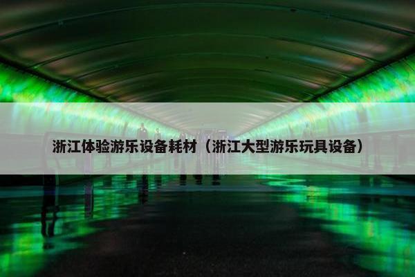 浙江体验游乐设备耗材（浙江大型游乐玩具设备）