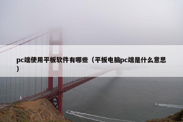 pc端使用平板软件有哪些（平板电脑pc端是什么意思）