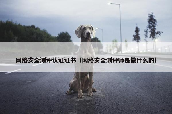 网络安全测评认证证书（网络安全测评师是做什么的）
