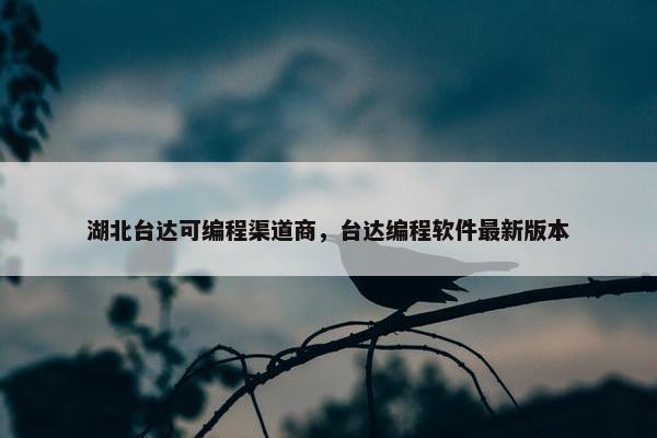 湖北台达可编程渠道商，台达编程软件最新版本