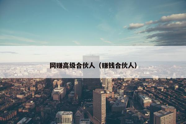 网赚高级合伙人（赚钱合伙人）