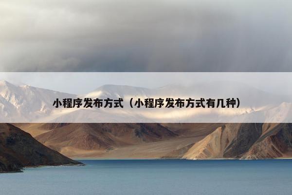小程序发布方式（小程序发布方式有几种）