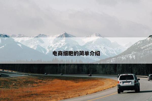 电商细胞的简单介绍