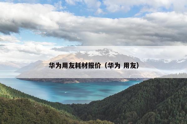 华为用友耗材报价（华为 用友）