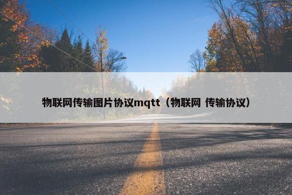 物联网传输图片协议mqtt（物联网 传输协议）