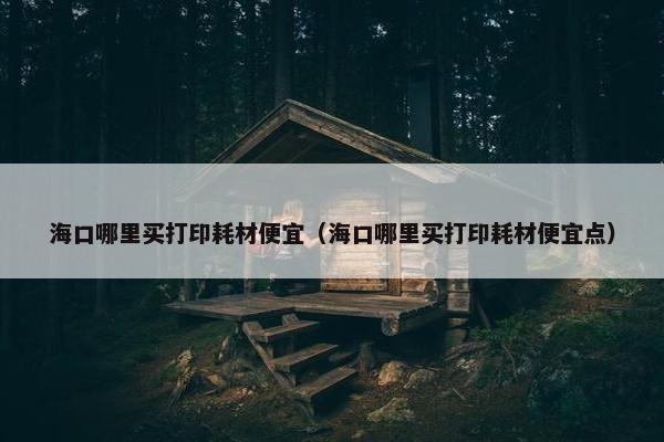 海口哪里买打印耗材便宜（海口哪里买打印耗材便宜点）