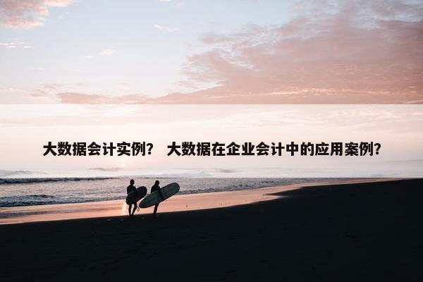 大数据会计实例？ 大数据在企业会计中的应用案例？