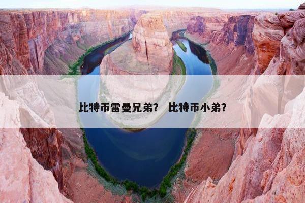 比特币雷曼兄弟？ 比特币小弟？