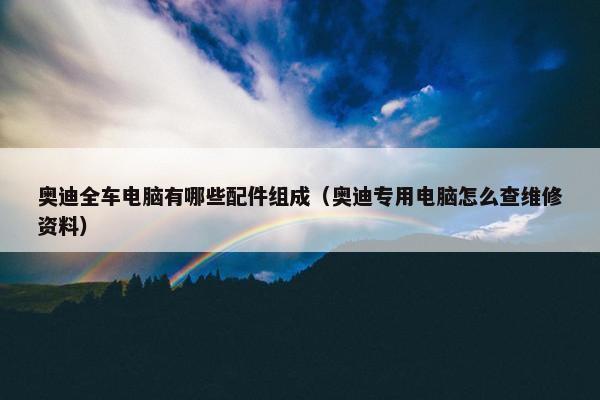 奥迪全车电脑有哪些配件组成（奥迪专用电脑怎么查维修资料）