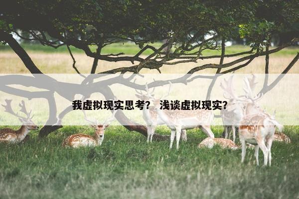 我虚拟现实思考？ 浅谈虚拟现实？