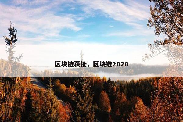 区块链获批，区块链2020