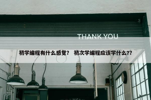 初学编程有什么感觉？ 初次学编程应该学什么?？