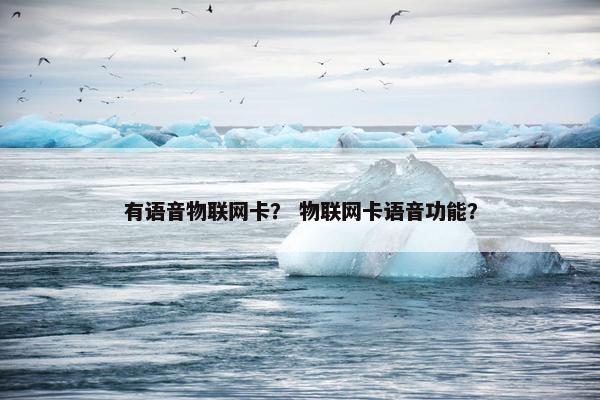 有语音物联网卡？ 物联网卡语音功能？