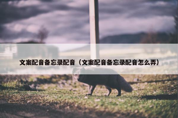 文案配音备忘录配音（文案配音备忘录配音怎么弄）