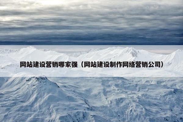 网站建设营销哪家强（网站建设制作网络营销公司）