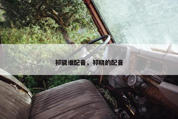 祁骁谁配音，祁晓的配音