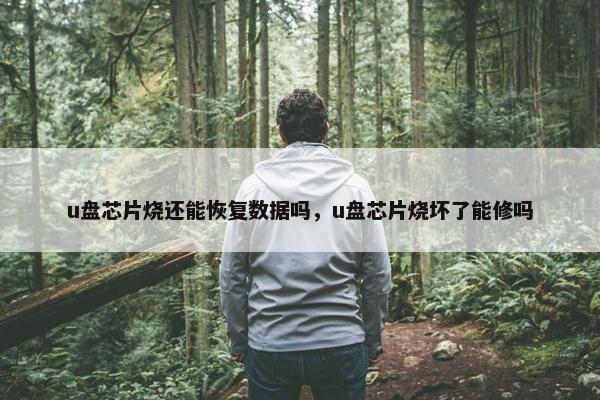 u盘芯片烧还能恢复数据吗，u盘芯片烧坏了能修吗