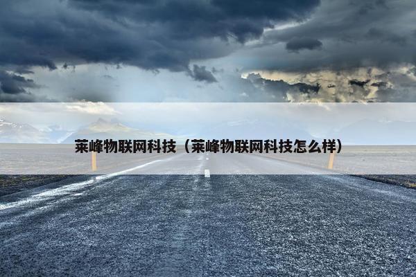 莱峰物联网科技（莱峰物联网科技怎么样）