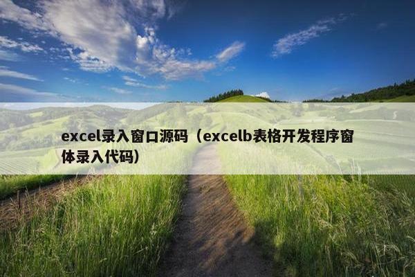 excel录入窗口源码（excelb表格开发程序窗体录入代码）