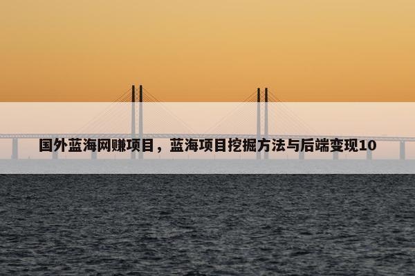 国外蓝海网赚项目，蓝海项目挖掘方法与后端变现10