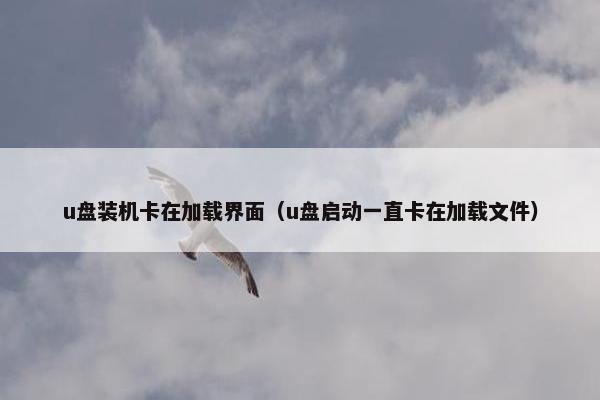 u盘装机卡在加载界面（u盘启动一直卡在加载文件）