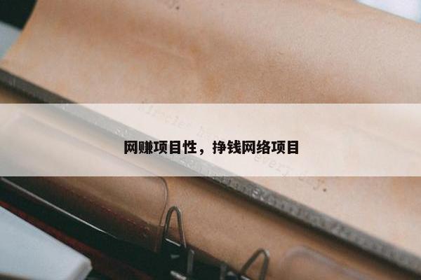 网赚项目性，挣钱网络项目