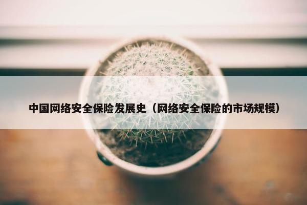 中国网络安全保险发展史（网络安全保险的市场规模）