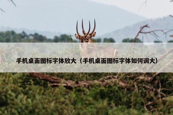 手机桌面图标字体放大（手机桌面图标字体如何调大）